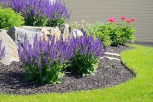 Landscape Design